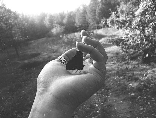 Principios de un amanecer _ Haikus Principios de un amanecer _ Haikus