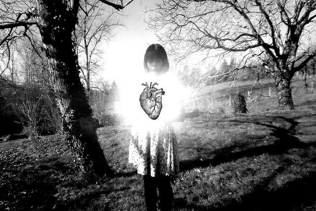 Principios de un amanecer _ Haikus Principios de un amanecer _ Haikus