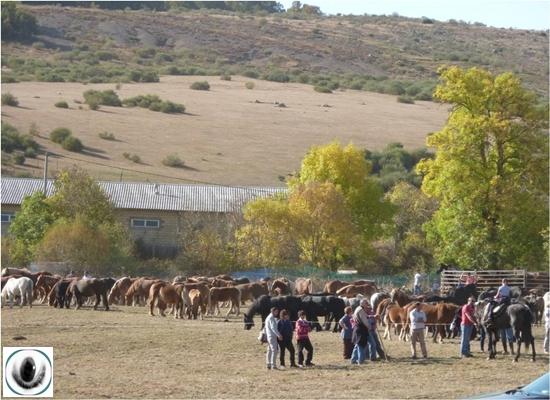 La Feria del Caballo