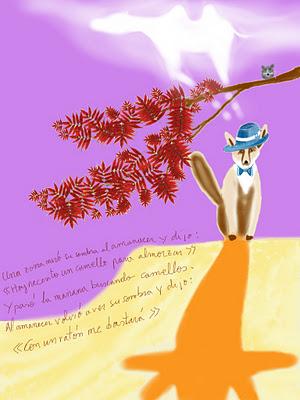 Meditación Meditación