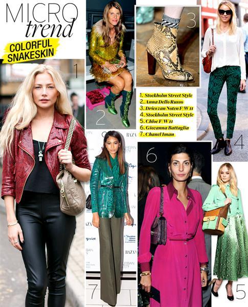 LOCURA REPTIL LOCURA REPTIL