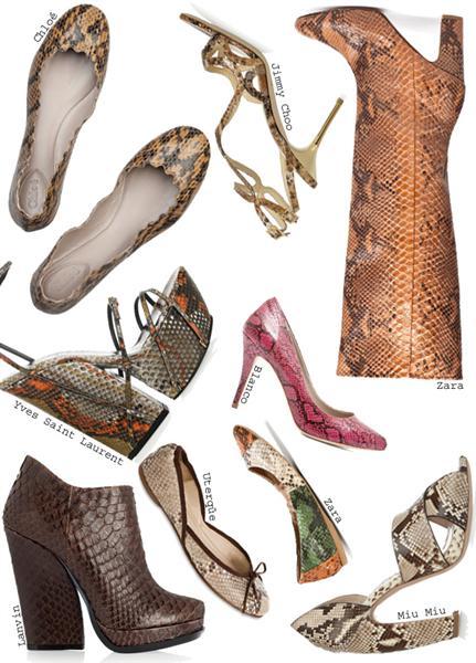 LOCURA REPTIL LOCURA REPTIL