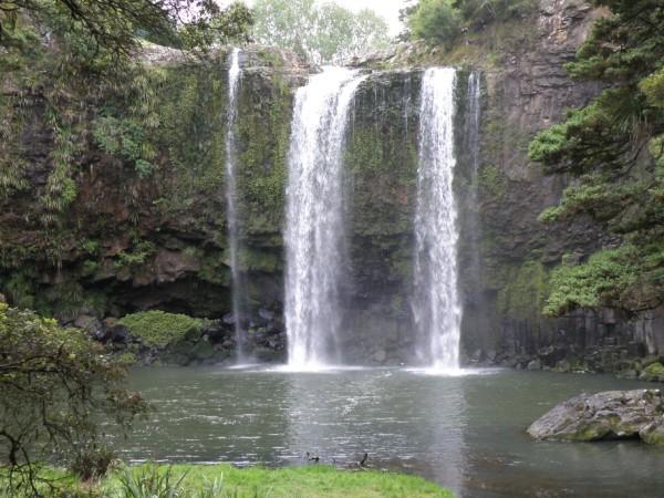 Imagen 065 (600 x 450) EN NUEVA ZELANDA