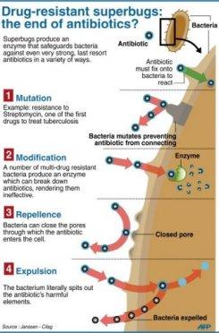 Las bacterias “superbug” se esparcen por todo el mundo, de  Las 25 Noticias Más Censuradas 2010/2011 (N° 17)