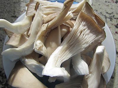 CROQUETAS DE SETAS Y JAMÓN CROQUETAS DE SETAS Y JAMÓN