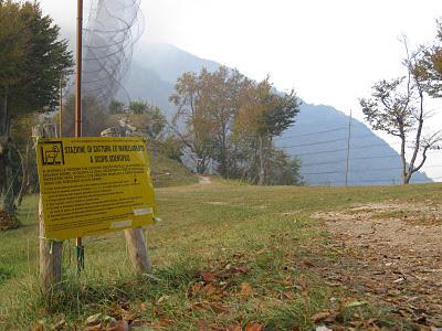 Anillamiento y migración en Los Alpes italianos: Passo dello Spino 2011 - 19-27 de Octubre de 2011. Anillamiento y migración en Los Alpes italianos: Passo dello Spino 2011 - 19-27 de Octubre de 2011.