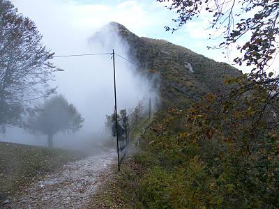 Anillamiento y migración en Los Alpes italianos: Passo dello Spino 2011 - 19-27 de Octubre de 2011. Anillamiento y migración en Los Alpes italianos: Passo dello Spino 2011 - 19-27 de Octubre de 2011.