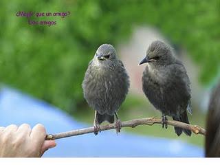 La Amistad La Amistad