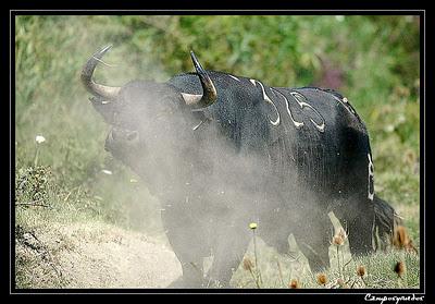 Uno de los nuestros IXX: Hubert Yonnet Uno de los nuestros IXX: Hubert Yonnet