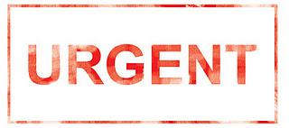 asertividad asertividad