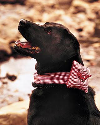 ¿Cómo será tu cojín para los anillos? ¿Cómo será tu cojín para los anillos?