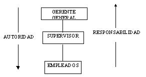 Tipos y sistemas de organización Organigrama