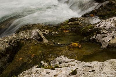 El otoño en el Ríu Dobra El otoño en el Ríu Dobra