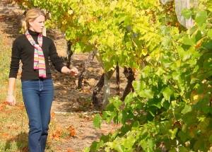 vinyedo2 Día europeo del enoturismo