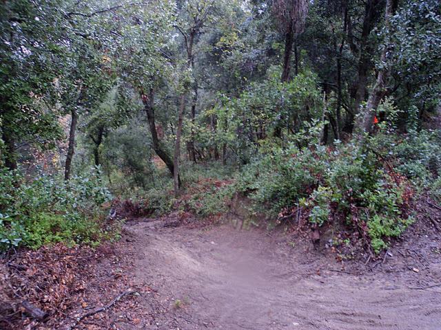Subida al Montnegre BTT 42 km (12 edición) - Feel the sensations: Hard rain, thick mud & growing cold... Subida al Montnegre BTT 42 km (12 edición) - Feel the sensations: Hard rain, thick mud & growing cold...