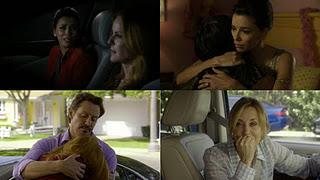 7 imágenes, 7 series (XCI) 7 imágenes, 7 series (XCI)