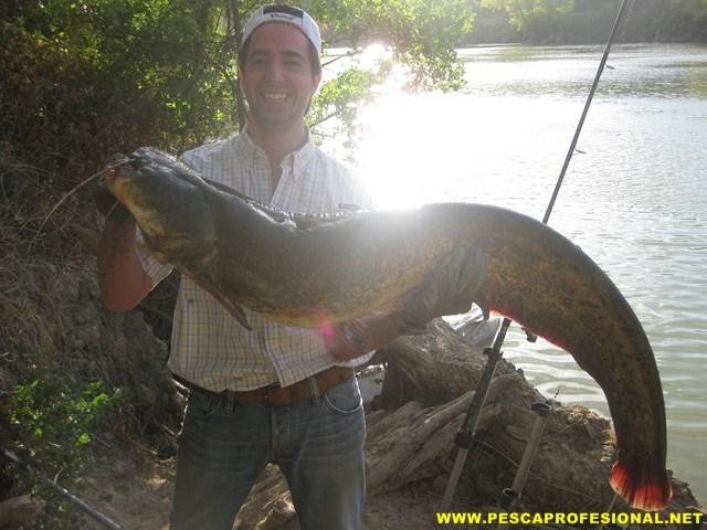 SILURO GLANIS PESCADORES MEXICANOS