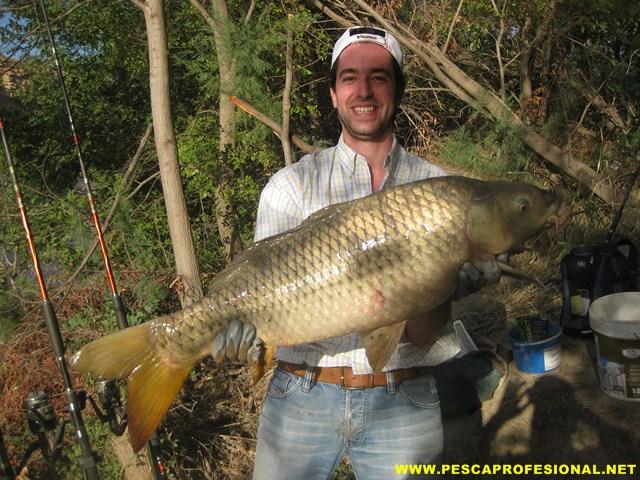 CARPA PESCADORES MEXICANOS