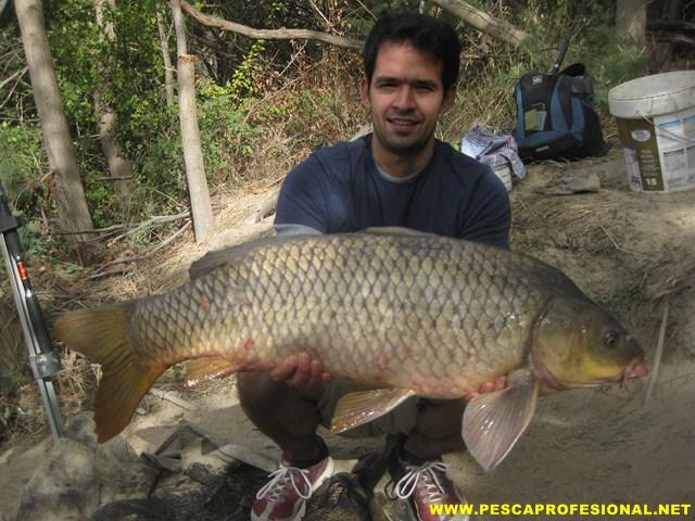 CIPRINIDOS PESCADORES MEXICANOS