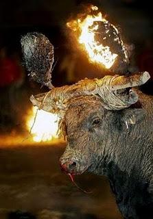 El Toro Jubilo El Toro Jubilo