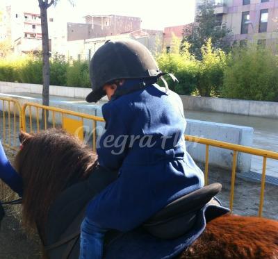 ChocolatinaMenor_caballo Fira de novembre (extended post)