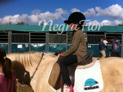 ChocolatinaMayor_caballo Fira de novembre (extended post)