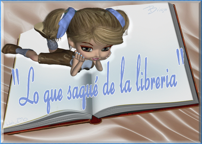 Lo que saqué de la librería Lo que saqué de la librería