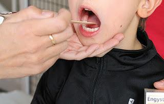 La medicina biorreguladora ayuda a prevenir los resfriados La medicina biorreguladora ayuda a prevenir los resfriados