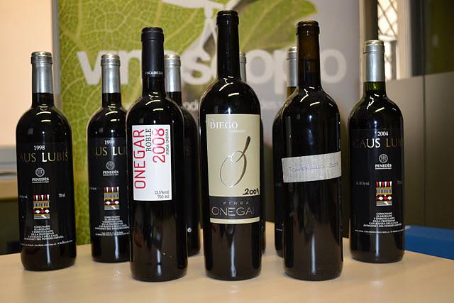 FINCA ONEGAR + VERTICAL DE CAUS LUBIS, cata inolvidable FINCA ONEGAR + VERTICAL DE CAUS LUBIS, cata inolvidable
