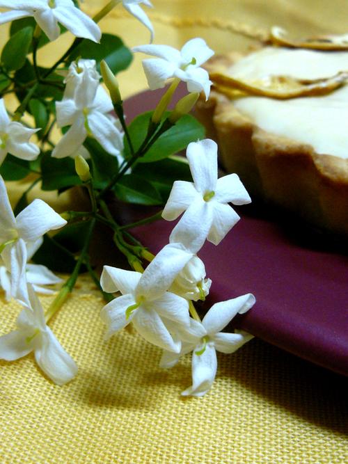 y seguimos, tarta helada de limón y seguimos, tarta helada de limón