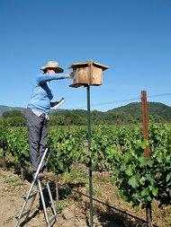 bird2-articleInline De pájaros y vino