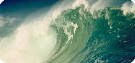 tsunami De las Emociones a los Sentimientos IV
