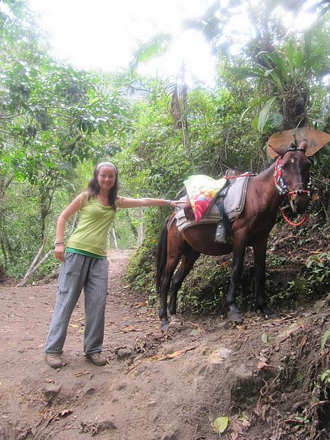 LA CATARATA DEL GOCTA: UNA INMENSA SINFONIA DE AGUA