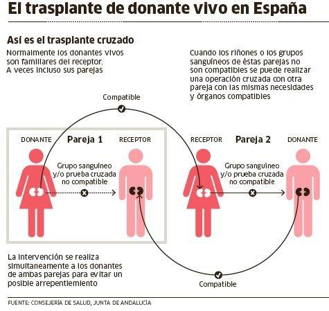 El hongo en la piel al niño por los medios públicos
