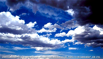 ¿Por qué la Prueba? ¿Por qué la Prueba?