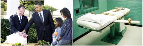 Obama-pavo-muerte Obama-pavo-muerte