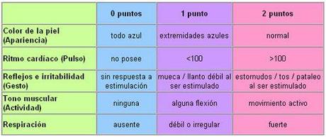 Qué es la puntuación de apgar Qué es la puntuación de apgar