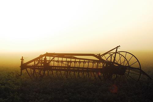amishmadrugada Madrugada Amish