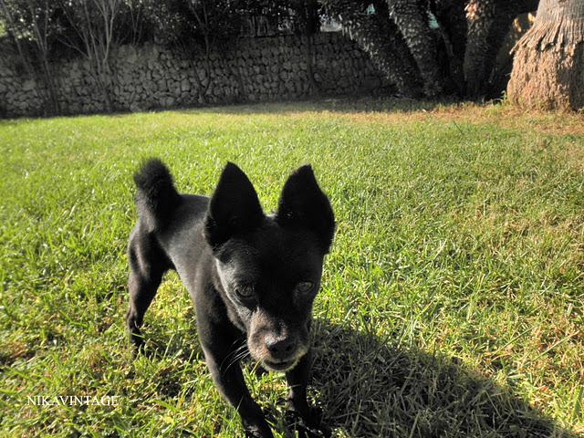 Juegos en el Jardin Juegos en el Jardin