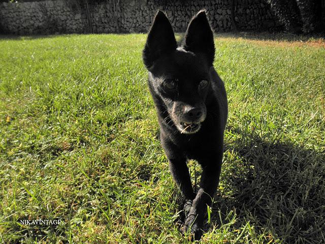 Juegos en el Jardin Juegos en el Jardin
