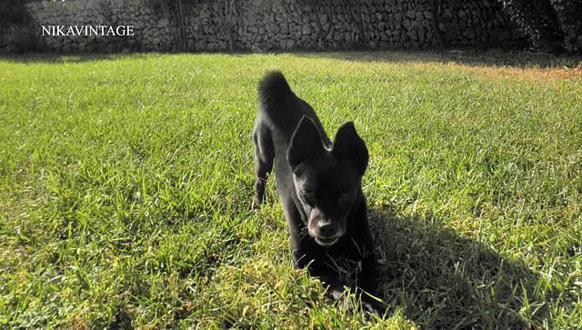 Juegos en el Jardin Juegos en el Jardin