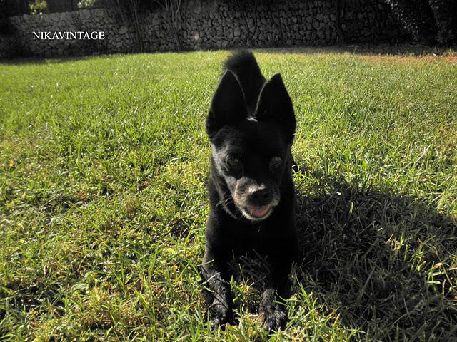 Juegos en el Jardin Juegos en el Jardin