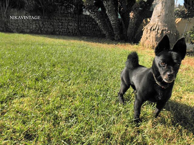 Juegos en el Jardin Juegos en el Jardin