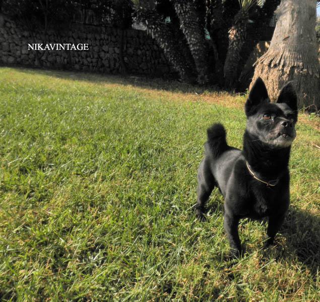 Juegos en el Jardin Juegos en el Jardin