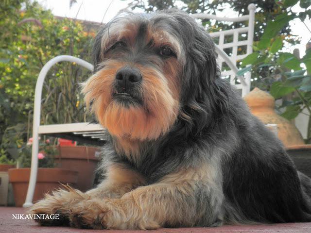 Juegos en el Jardin Juegos en el Jardin