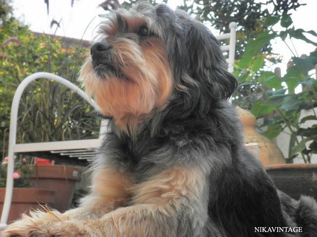 Juegos en el Jardin Juegos en el Jardin