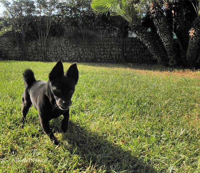 Juegos en el Jardin Juegos en el Jardin