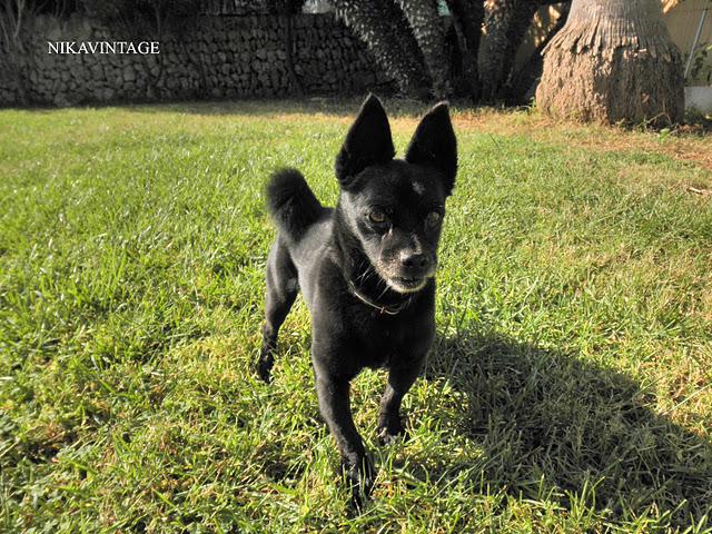 Juegos en el Jardin Juegos en el Jardin