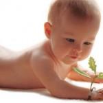 Tu bebe no sera asi Tu bebe no sera asi
