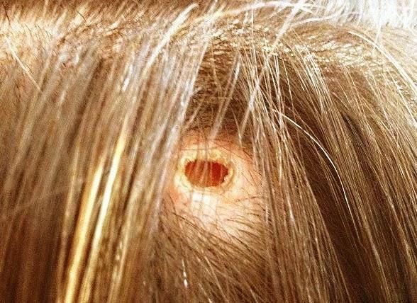 Un escondite para ideas Un escondite para ideas